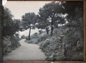 Image représentant Cap Martin Le Jardin