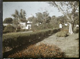 Image représentant Jardins