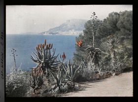 Image représentant Cap Martin Le Jardin