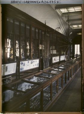 Image représentant France, Toulouse, Musée : La salle du Musée Préhistorique