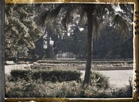 Image représentant Le jardin Bizot