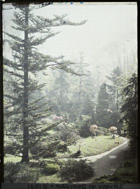 Image représentant Partie de jardin à l'ouest du " village japonais "  dont les arbres dissimulent le pavillon de thé