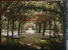 Image représentant Axe central du verger-roseraie photographié non loin de la dépendance, en direction du jardin anglais