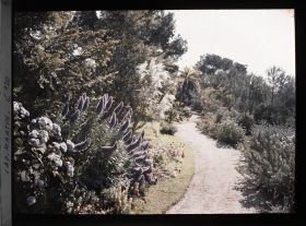 Image représentant Le jardin