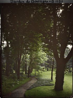 Image représentant Petite allée près de la grande pelouse