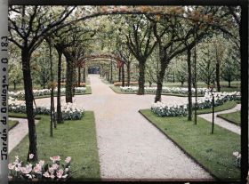 Image représentant Axe central du verger-roseraie photographié non loin de la dépendance, en direction du jardin anglais