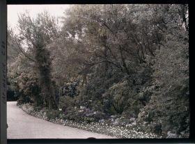 Image représentant Le jardin