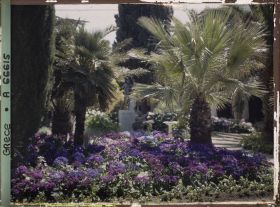 Image représentant L'Achilleion - Les Jardins