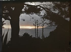 Image représentant Coucher de soleil sur la mer vu du jardin