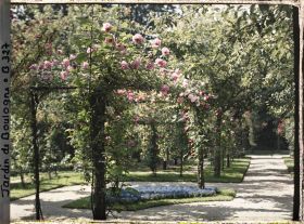 Image représentant Coin du verger-roseraie vu en direction du sud, depuis le rond-point proche du jardin français