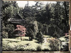 Image représentant Façade principale du pavillon de thé du " village japonais ", dans un écrin arboré