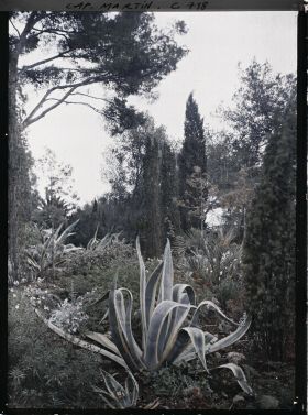 Image représentant Jardin divers