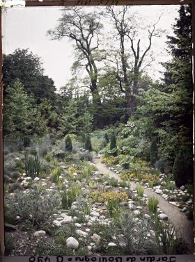 Image représentant Chemin ponctué de galets, diverses plantes et conifères, menant vers le fond du " sanctuaire japonais "