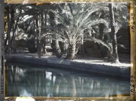 Image représentant Un bassin de retenue dans l'oasis de Zenaga