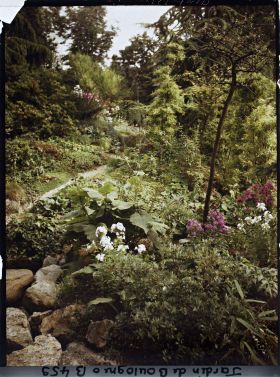 Image représentant Étroit chemin du " sanctuaire japonais " en provenance du sôrintô, longeant une coulée de verdure