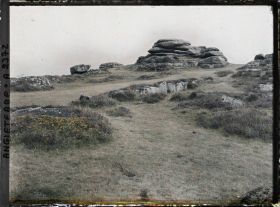 Image représentant Un sentier