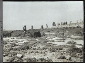 Image représentant Les cromlechs d'Er Lannic à marée basse