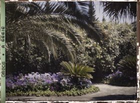 Image représentant L'Achilleion - Les Jardins