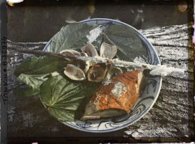 Image représentant Les éléments nécessaires à la mastication du bétel : racine de vô chay, noix d'arec, feuilles de bétel et bâtonnet enduit de chaux éteinte