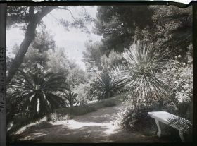 Image représentant Banc dans un coin du jardin de la villa Miramar, vu en direction de Monaco