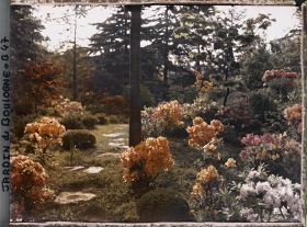 Image représentant Pas japonais sur une butte du " sanctuaire japonais " ornée d'azalées en fleurs