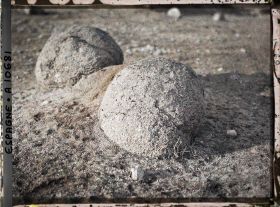 Image représentant Espagne, Avila, Deux boules de décomposition du granite