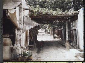 Image représentant Un coin des souks