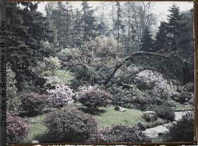Image représentant Coin de paysage fleuri au bord d'étroits chemins situés à l'ouest du " village japonais "