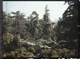 Image représentant Espace rocailleux et arboré du " sanctuaire japonais " avec une allée menant au " village japonais "