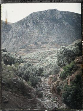 Image représentant Vue de la gorge de Castalie sur la vallée du Pleistos