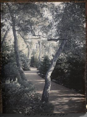 Image représentant Une allée du jardin