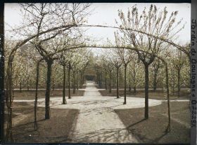 Image représentant Axe central du verger-roseraie photographié non loin de la dépendance, en direction du jardin anglais
