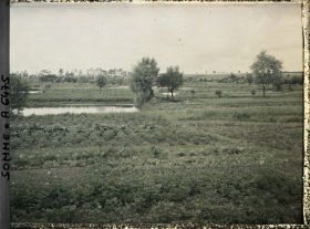 Image représentant France, Amiens, Cultures maraîchères
