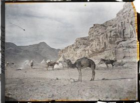 Image représentant Sous les falaises, les tentes du campement des forces arabes du royaume du Hedjaz