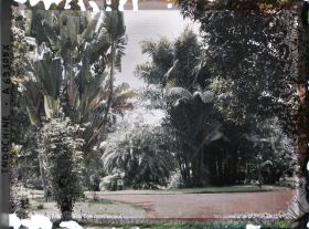 Image représentant Le jardin botanique