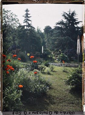 Image représentant Massif fleuri, proche de la bande gazonnée séparant les " étangs " du marais, vu vers l'est, sud-est