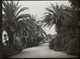 Image représentant Cap Martin Le Jardin