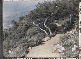 Image représentant Cap-Martin - Le Jardin
