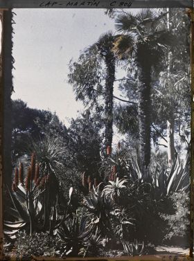 Image représentant Vue du jardin