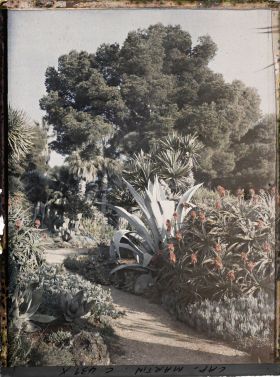 Image représentant Cap Martin Le Jardin