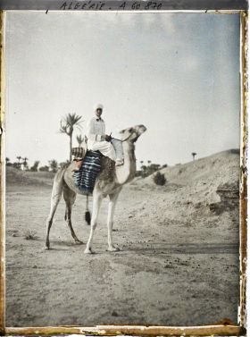 Image représentant Un officier méhariste sur sa monture