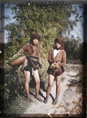 Image représentant Des jeunes filles revenant de la cueillette du liseron d'eau