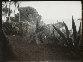 Image représentant Cap Martin Le Jardin