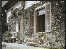 Image représentant La villa Miramar et sa glycine