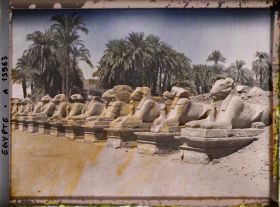 Image représentant Allée de béliers menant au temple d'Amon