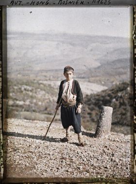 Image représentant Petit berger croate catholique