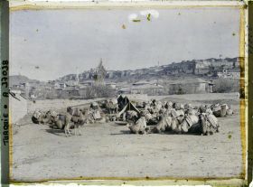 Image représentant Caravane de chameaux au repos au pied de la ville
