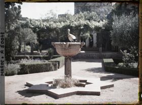 Image représentant Cigogne sur une vasque du jardin de la médersa dans la casbah des Oudaïa