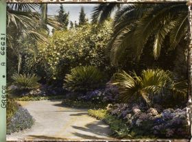 Image représentant L'Achilleion - Les Jardins