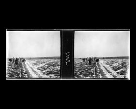 Image représentant La caravane d&#039;ânes et un troupeau de chameaux
